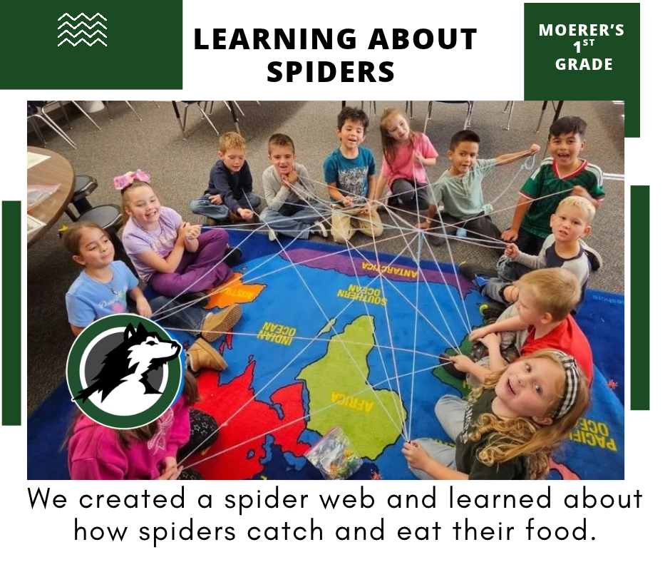 Learning about spiders in Mrs. Moerer's class