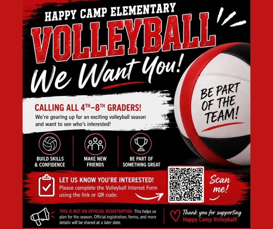 Volleyball Flyer