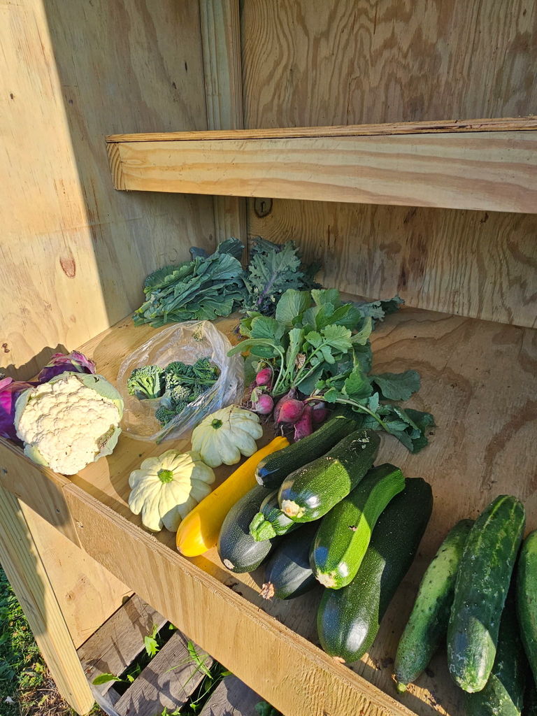veggies