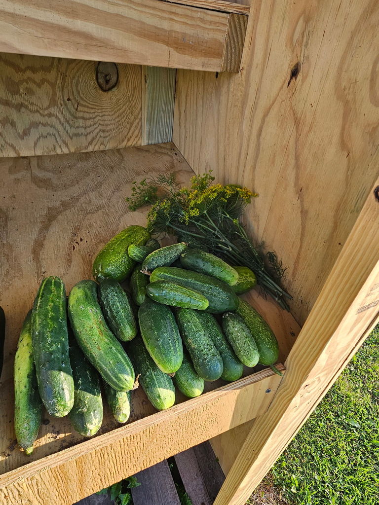 veggies