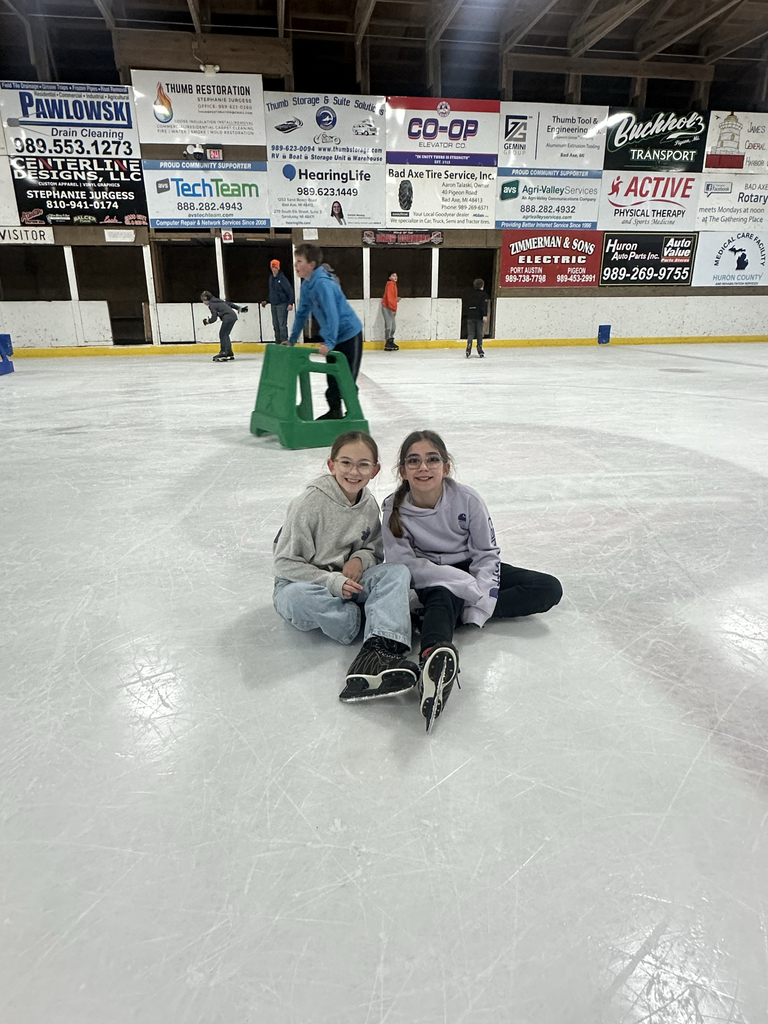 ice skate
