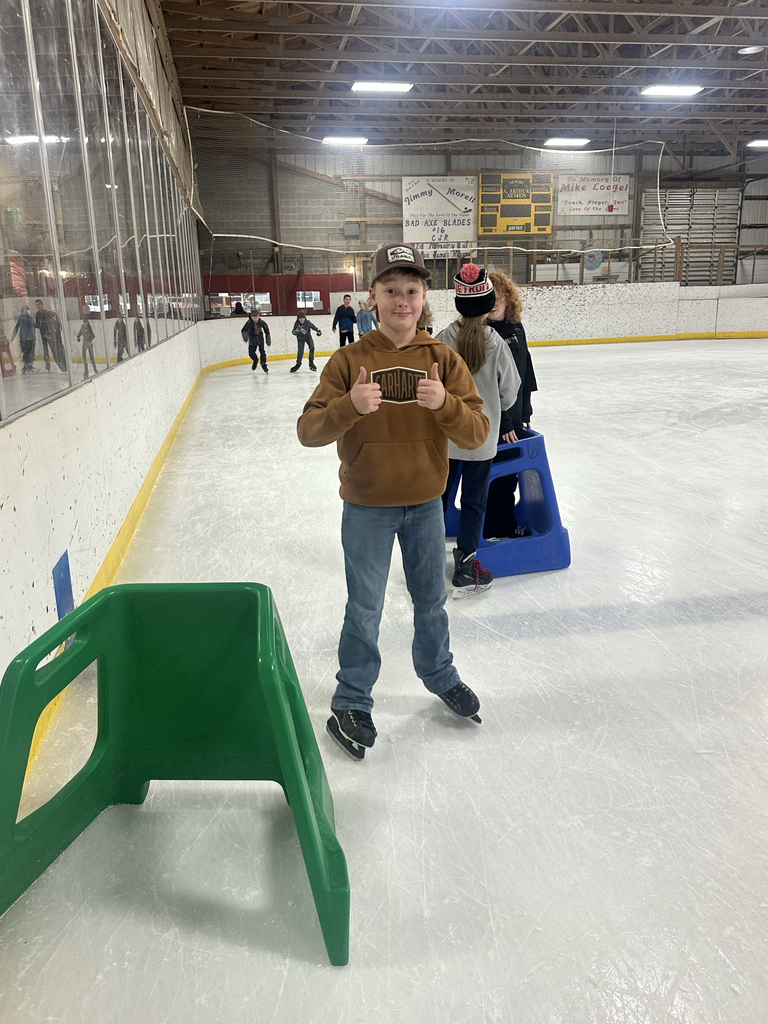 ice skate