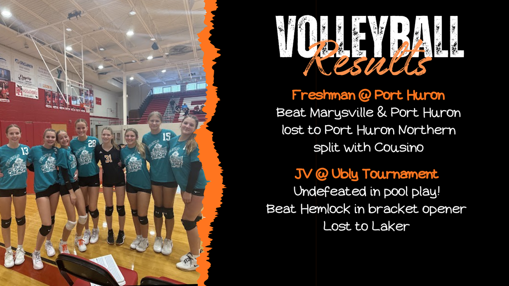vb