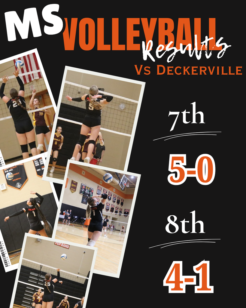 msvb