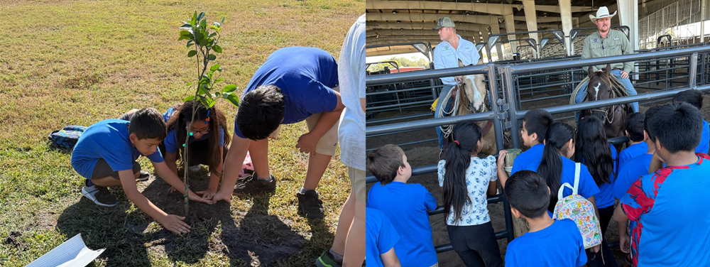 students planting a tree and admiring ranchers on horseback