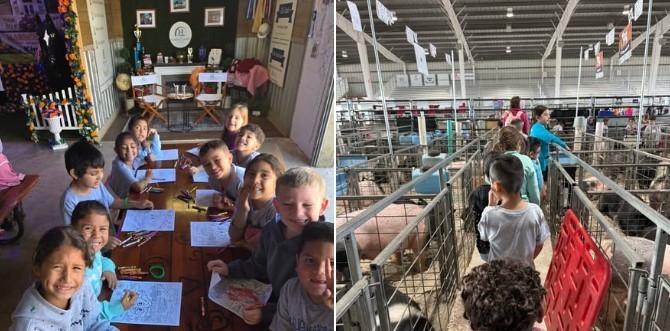 children coloring on the left, and children walking between barn animal enclosures on the right