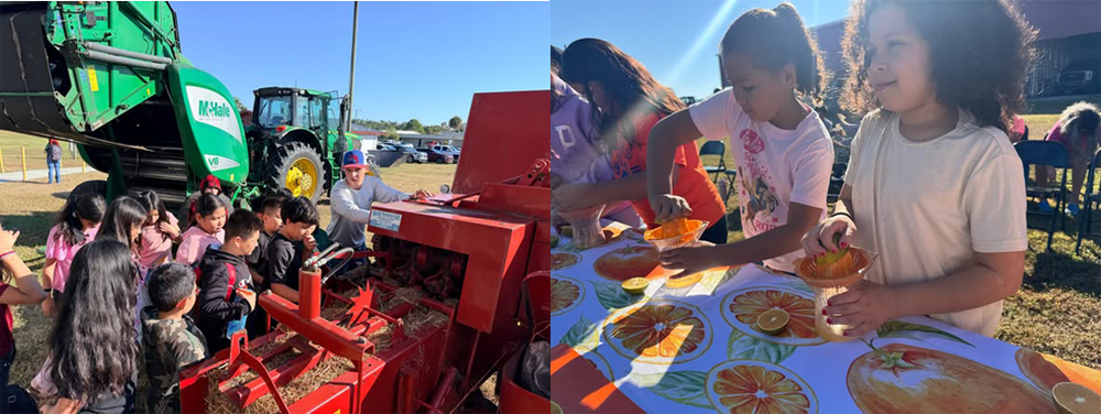 Children at Ag Fest learning about hay and juicing oranges