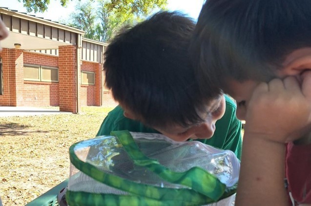 two students examining a butterfly