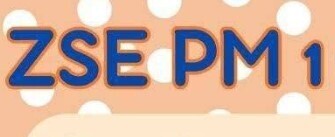 ZSE Pm1