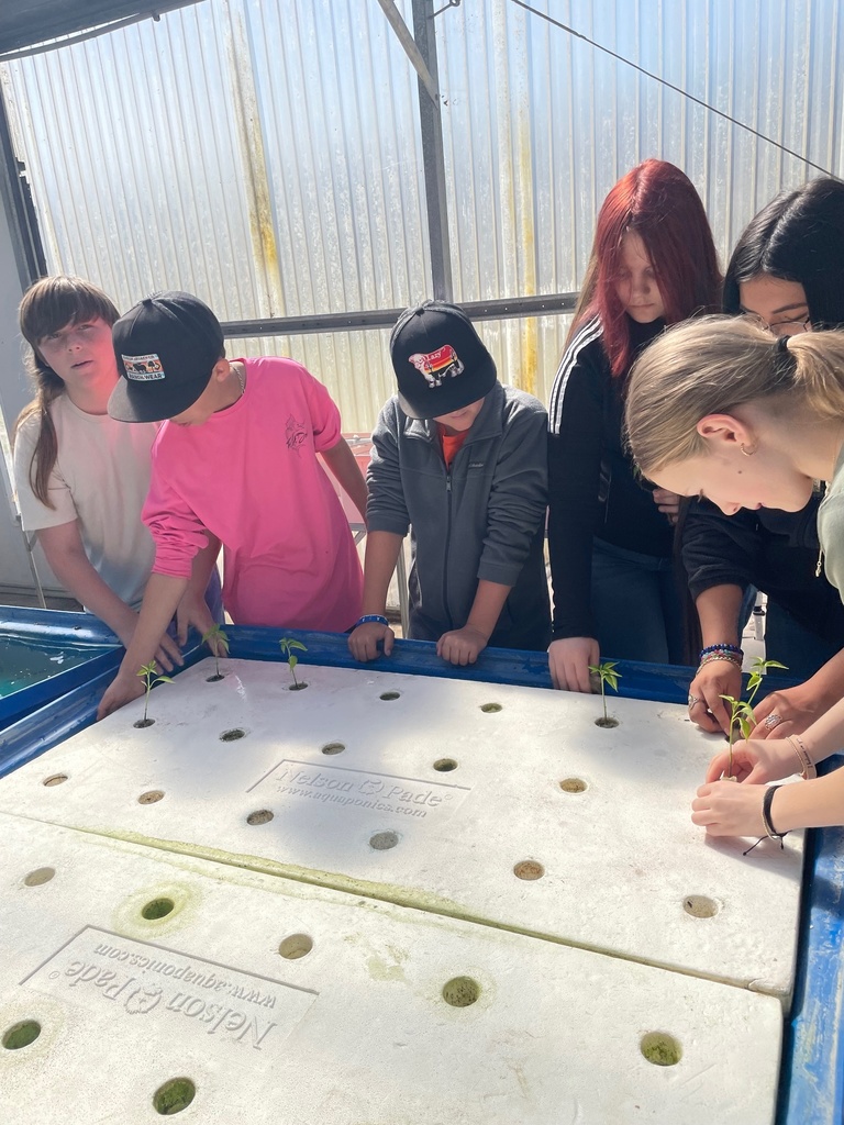 6th Grade Ag