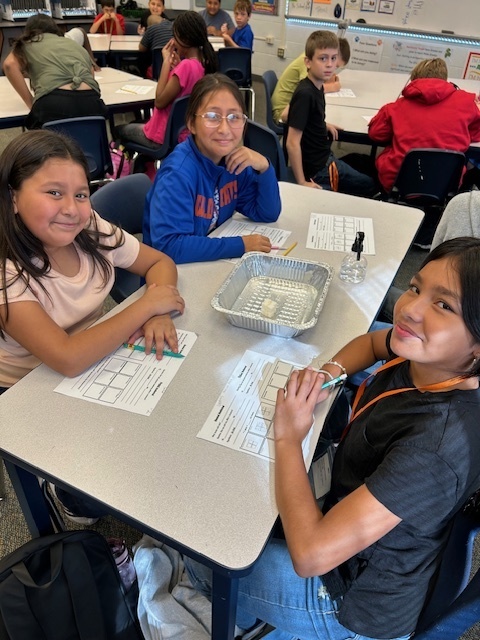 Chemical Weathering Lab