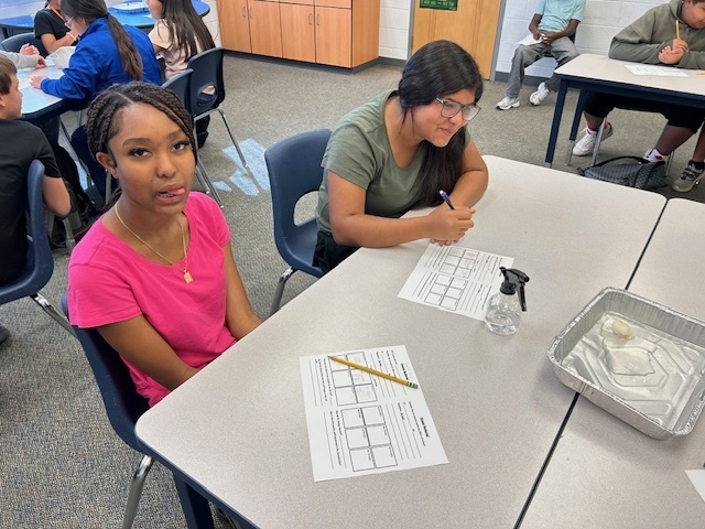 Chemical Weathering Lab