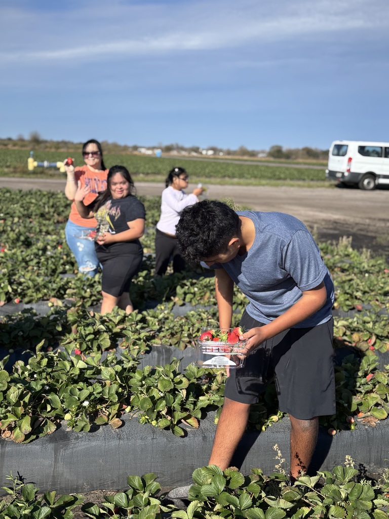 Strawberry Field Trip