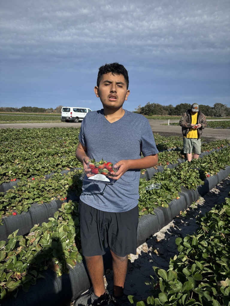 Strawberry Field Trip