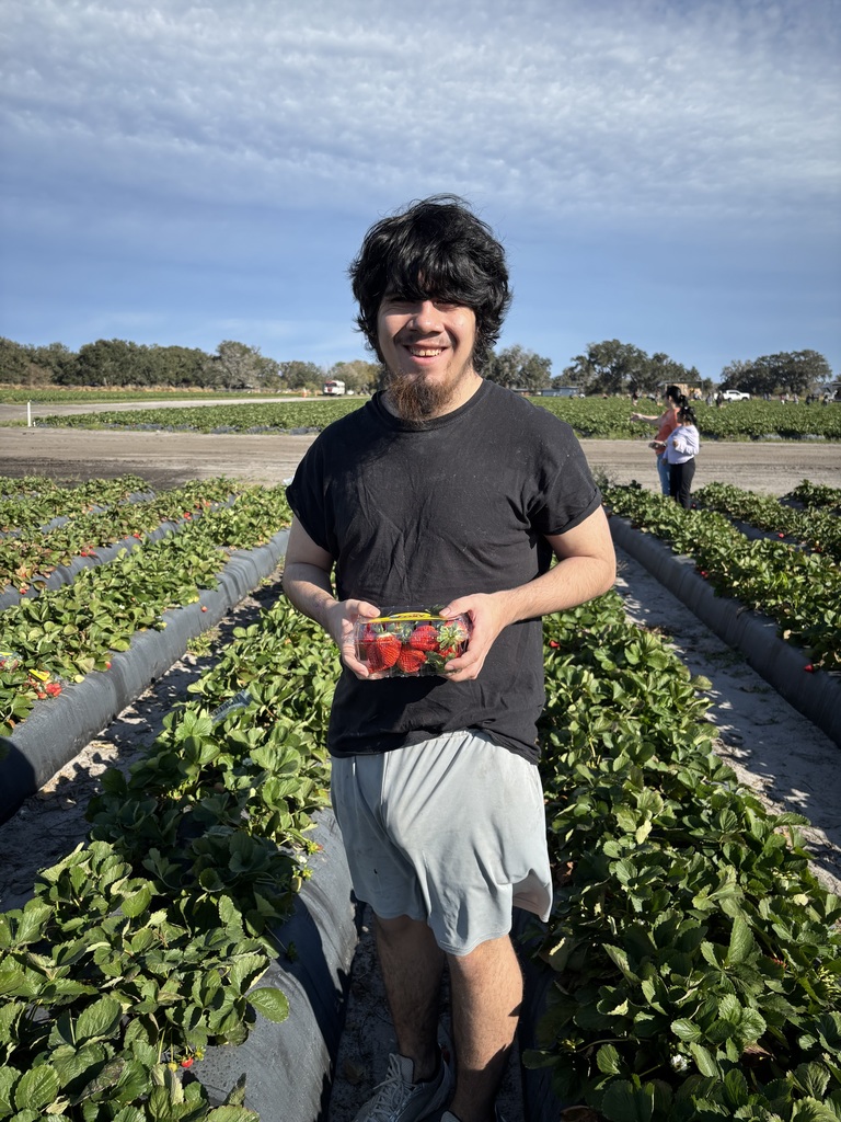 Strawberry Field Trip