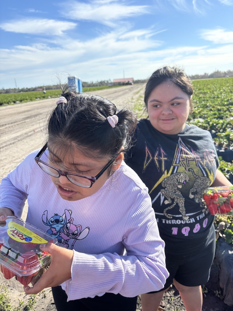 Strawberry Field Trip