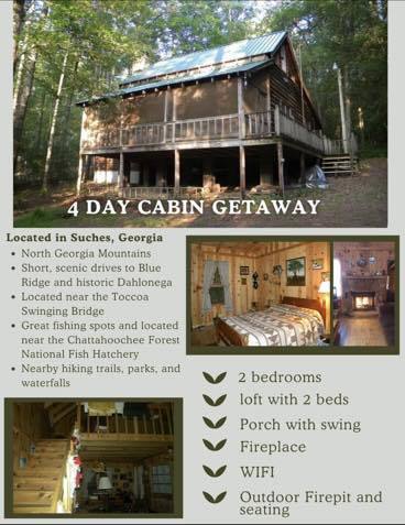 amazing mountain getaway auction item