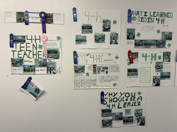 Teen teacher projects