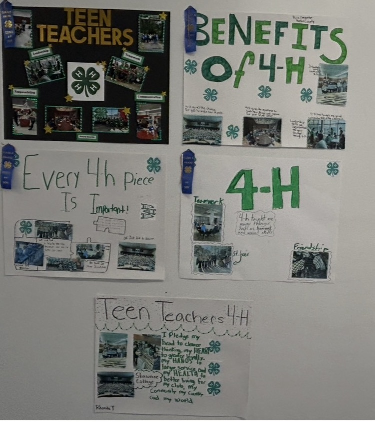 teen teacher projects 