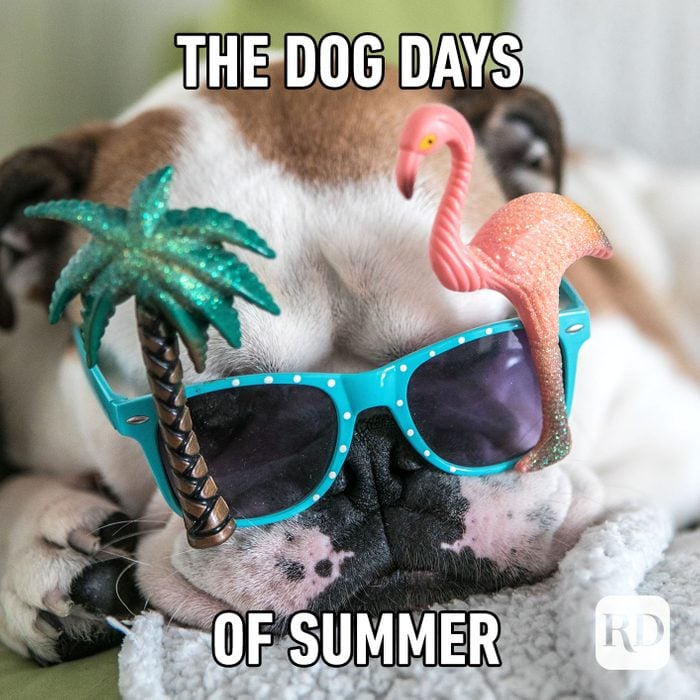 Week of August 17th