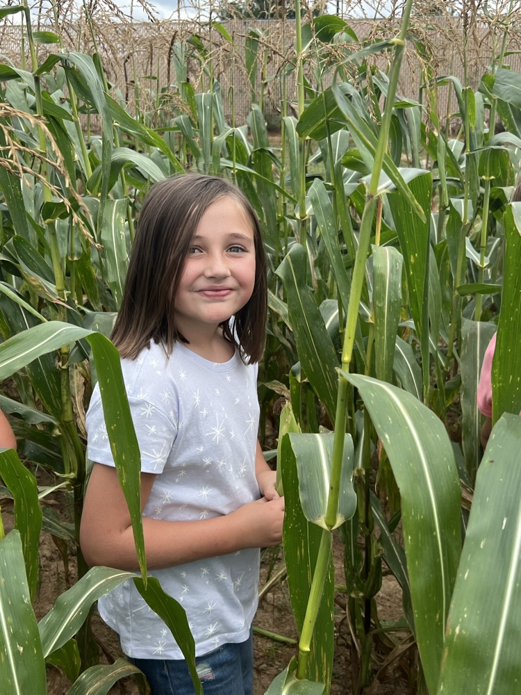 corn