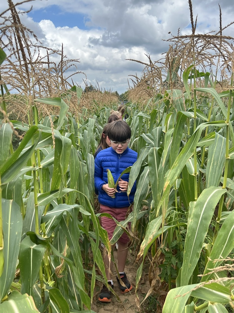 corn