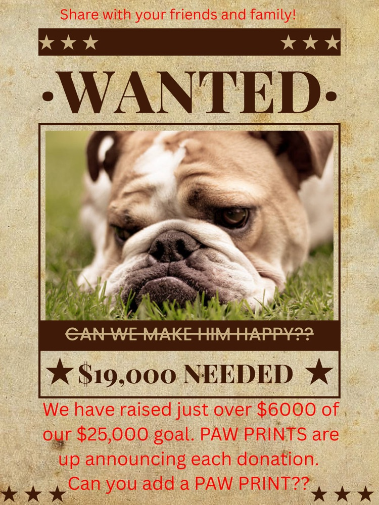 we can do it!!!