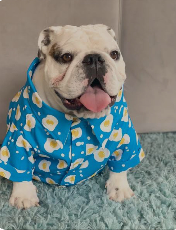 PJ day (2 days)