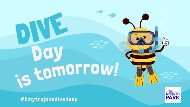 dive day 