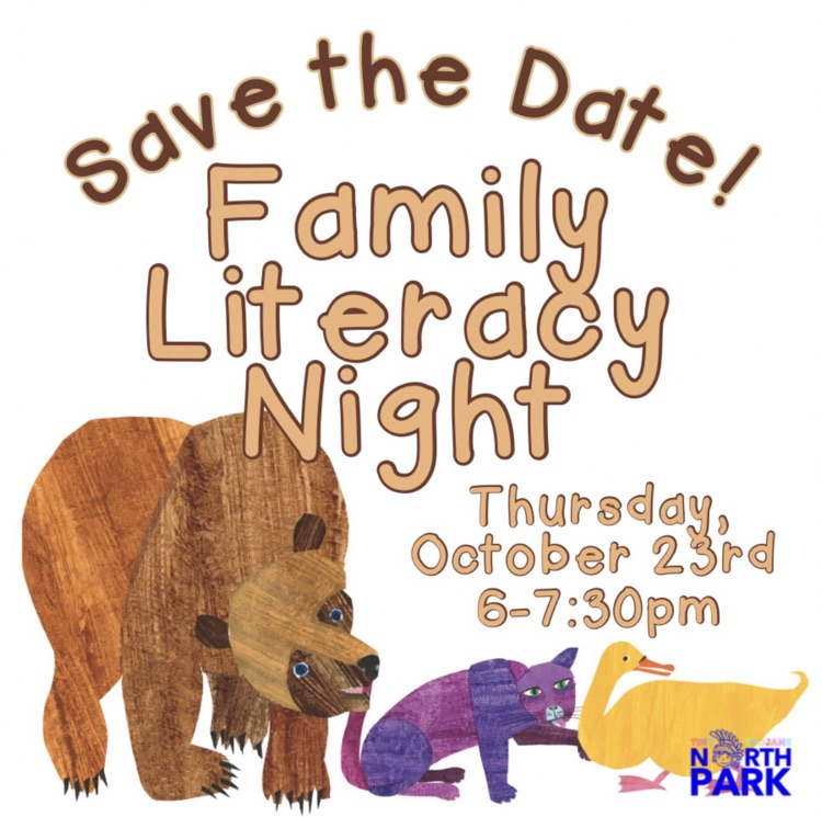 brown Bear night 