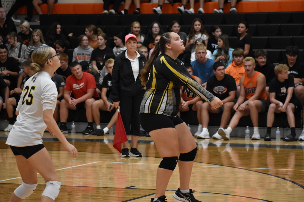 volleyball