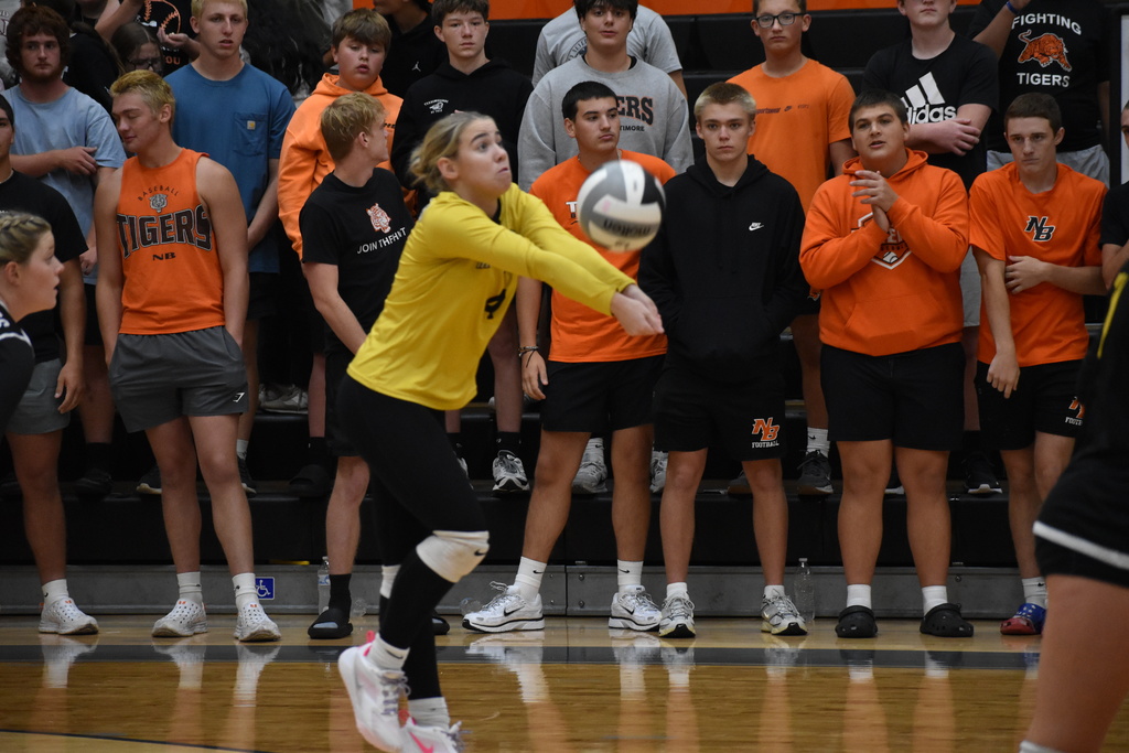 volleyball