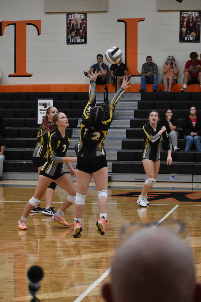 volleyball
