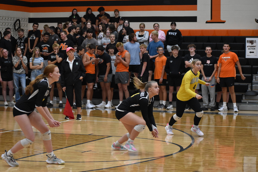 volleyball