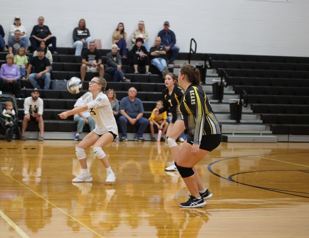 Volleyball