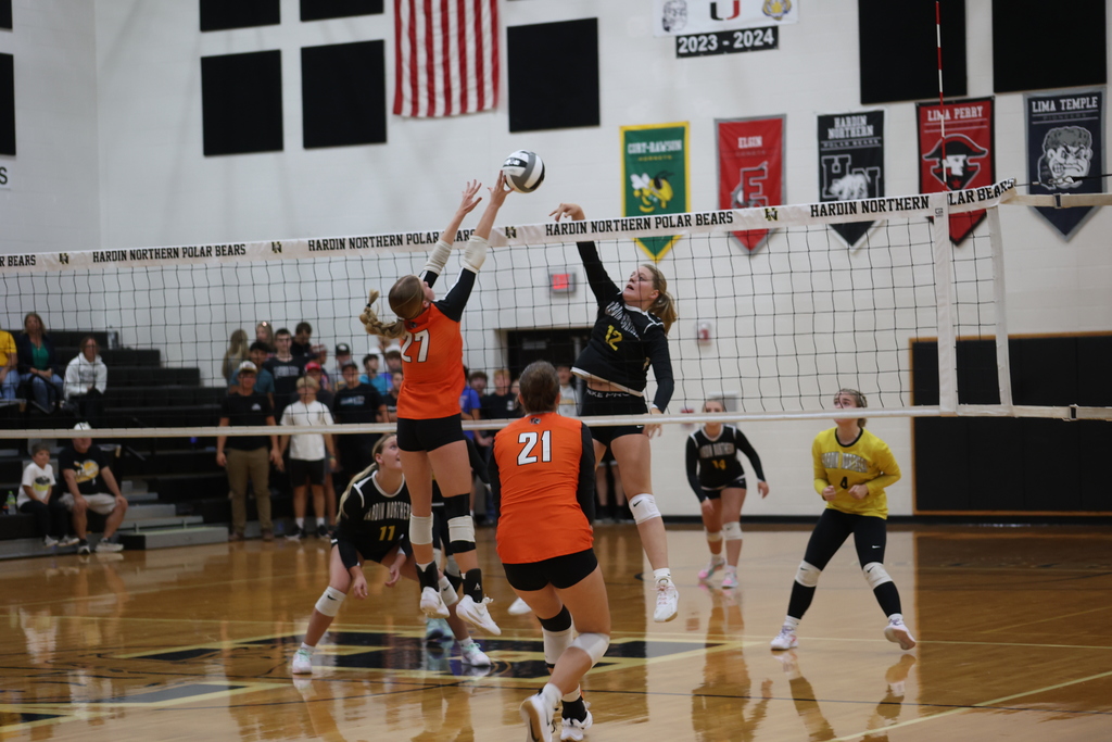 Volleyball