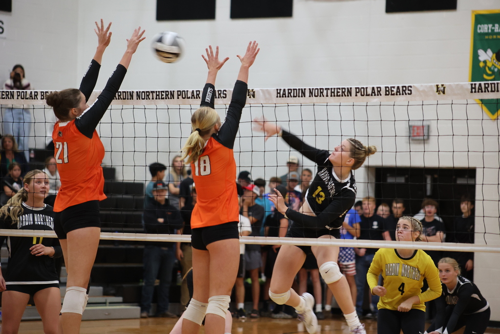 Volleyball