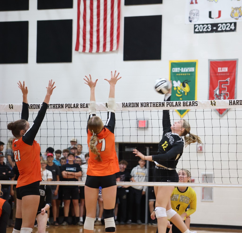 Volleyball