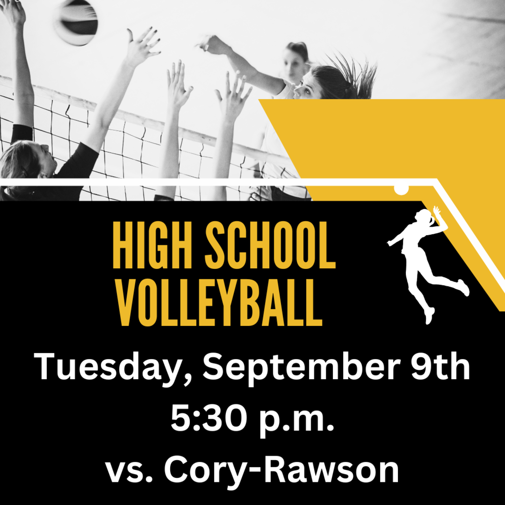 Volleyball