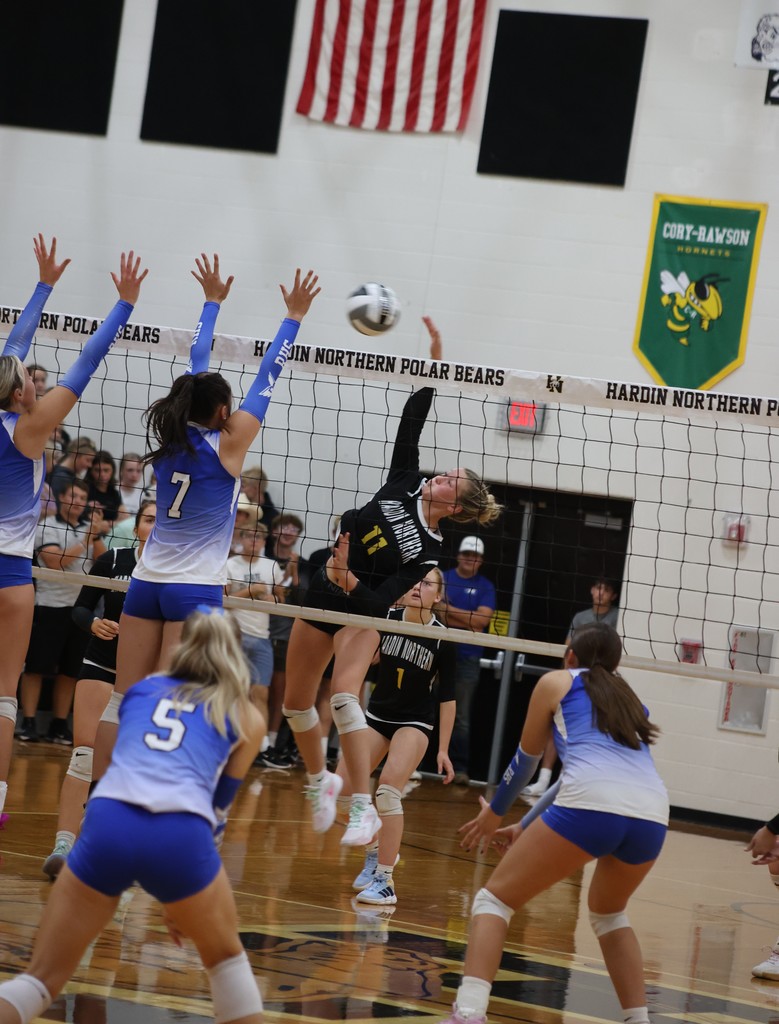 Volley