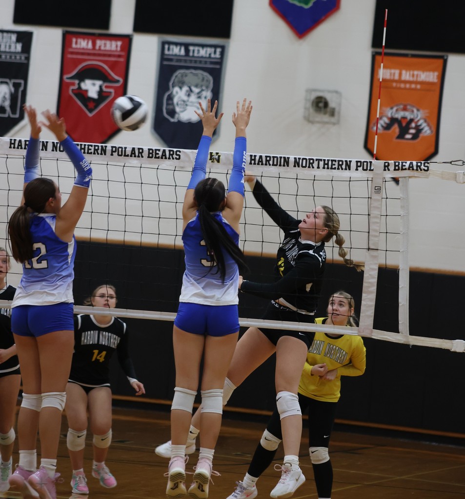Volley