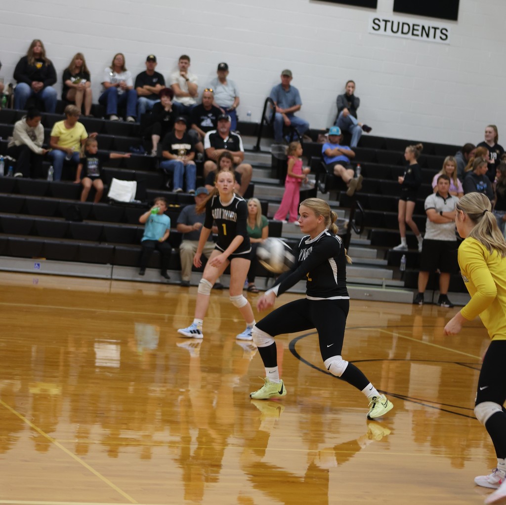 Volley