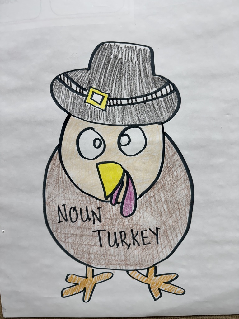 Turkey Noun