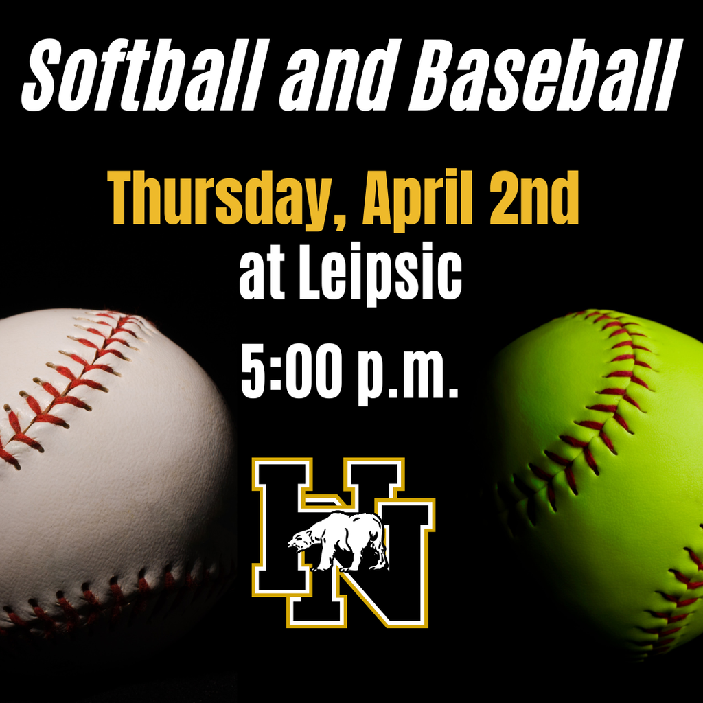 Softball & Baseball game