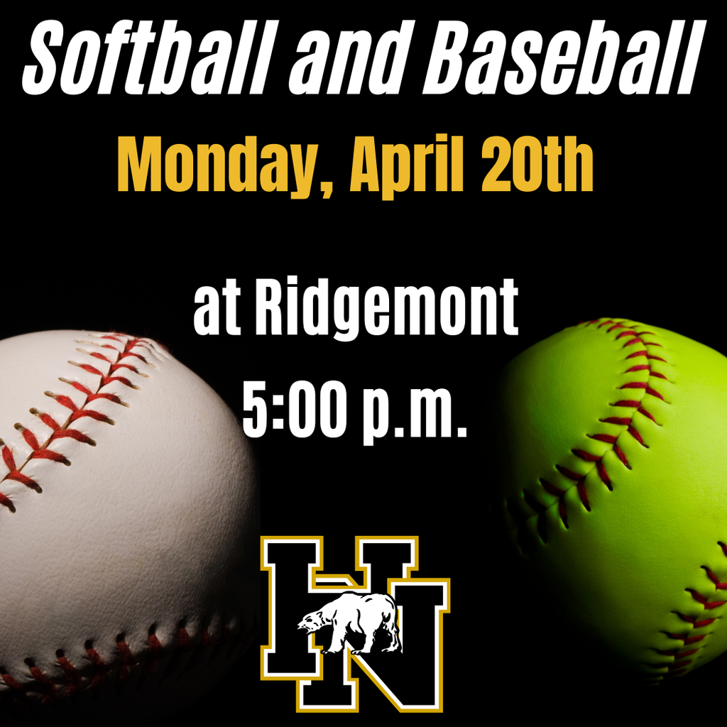 Softball & Baseball game