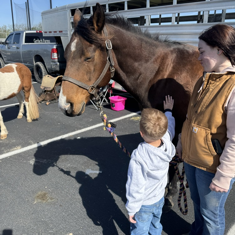 horse
