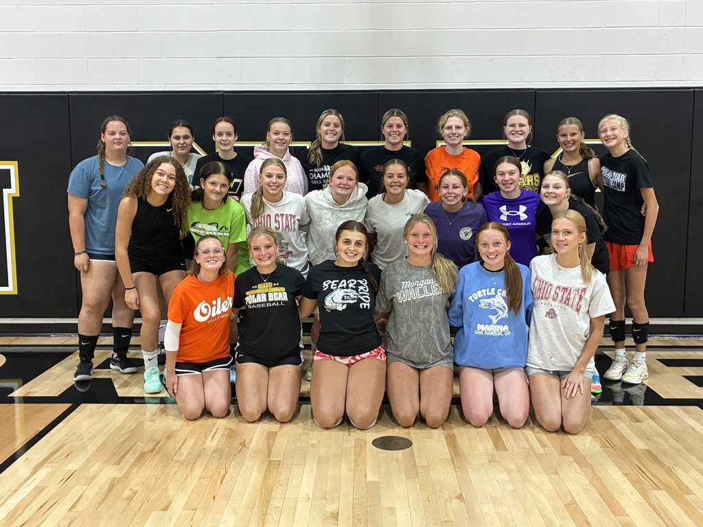 Volleyball team
