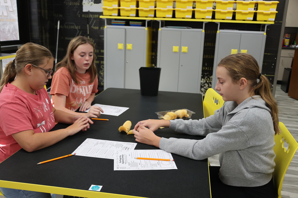 Stem Class