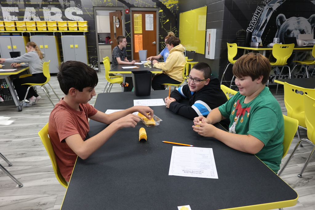 Stem Class