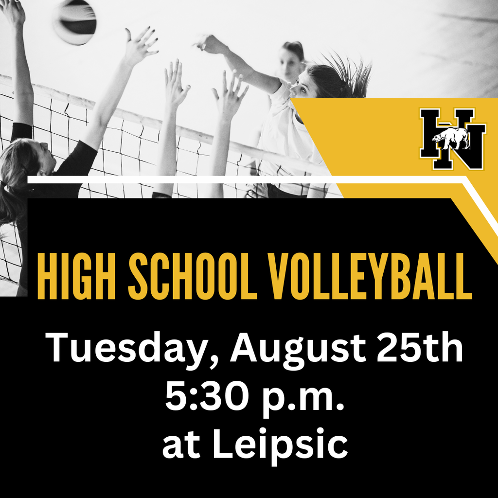 HS VOlleyball Game